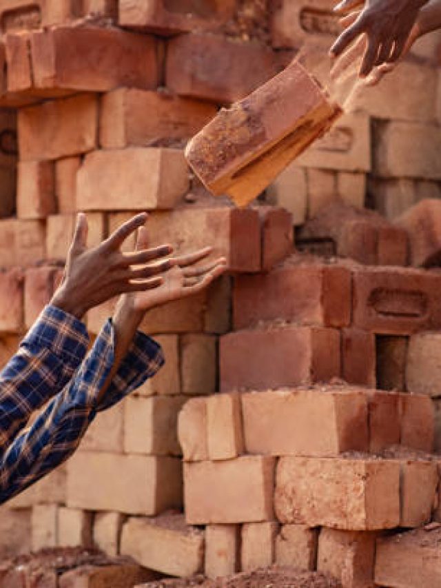 বাড়ি তৈরির জন্য বেস্ট কোয়ালিটির ইট কিনুন, এই ট্রিকসটা জানলে ঠকবেন না