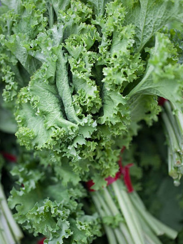 পেলেই কিনুন, গ্রাম-বাংলার এই শাক খেলেই সুগার-প্রেসারের খেলা শেষ