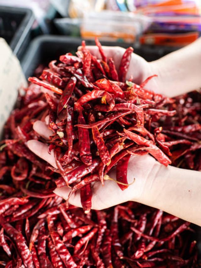 ৭টা শুকনো লঙ্কার খেলা, তাতেই ঘুমন্ত ভাগ্য জাগবে-রাতারাতি ধনী হবেন