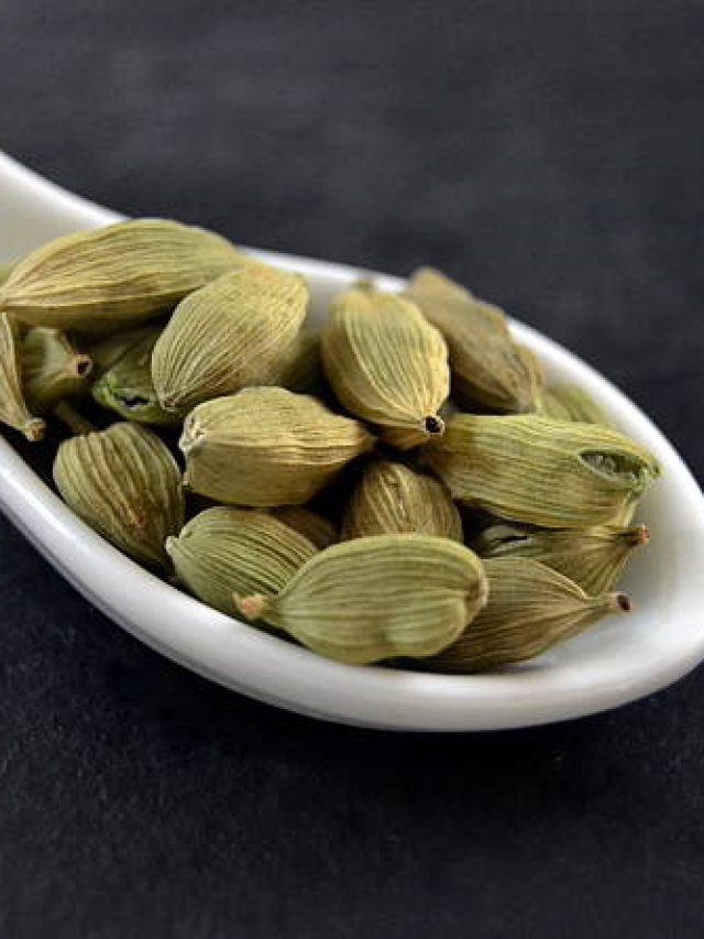 বারান্দা বা ছাদেই হবে কিলো কিলো ছোট এলাচ, রইল চাষের নিয়ম