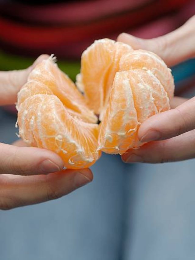 কমলা লেবুর বীজ খেয়ে ফেলছেন? শরীরে কী হয় জানুন