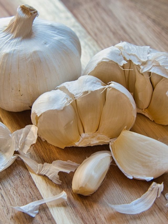 এই ৫ উপকারিতা জানলে,রসুনের খোসা আর ফেলবেন না