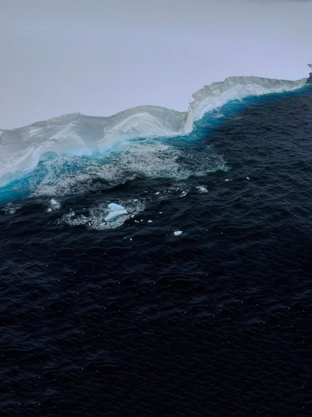 '3 times the size of New York City': The world’s largest iceberg escapes into dangerous waters after 40 years