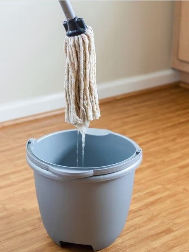 ঘর মোছার জলে মেশান এই গোলাপি জিনিস, ঘরে পড়বে মা লক্ষ্মীর পা