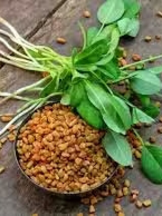 आपको नहीं पता होंगे मेथी के ये अचूक फायदे, आचार्य बालकृष्ण ने बताए