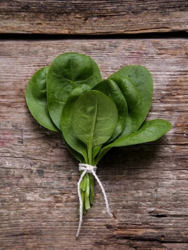 पालक को मामूली समझने की ना करें गलती, आचार्य बालकृष्ण से जानें फायदे