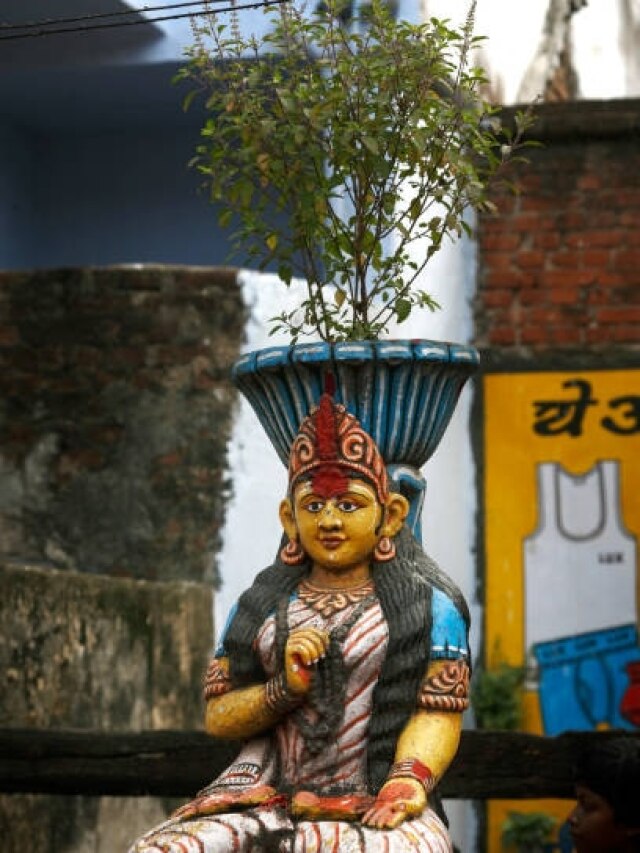 नए साल के पहले दिन तुलसी में डालें ये एक चीज, सालभर मां लक्ष्मी की बनी रहेगी कृपा