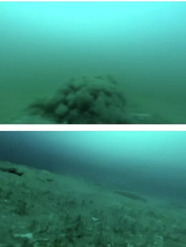 'Clues for Europa': Antarctica’s frozen lake is alive with alien-like creatures