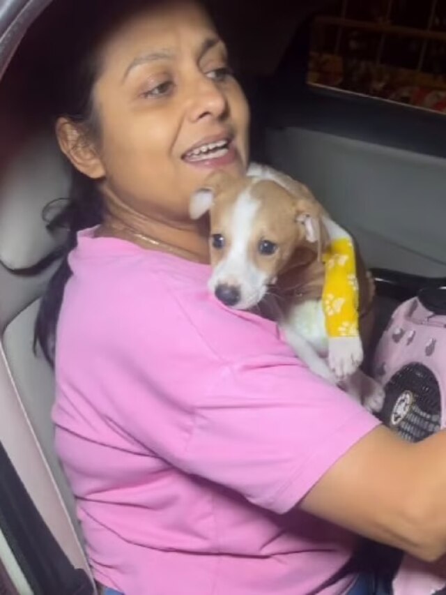 कुत्ते के बच्चे के साथ दरिंदगी! टीवी एक्ट्रेस ने करवाया रेस्क्यू, उठाए कई गंभीर सवाल