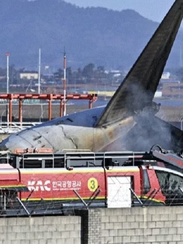 जानिए कैसे एक पक्षी करवा देता है प्लेन क्रैश? साउथ कोरिया में भी ऐसा ही हुआ