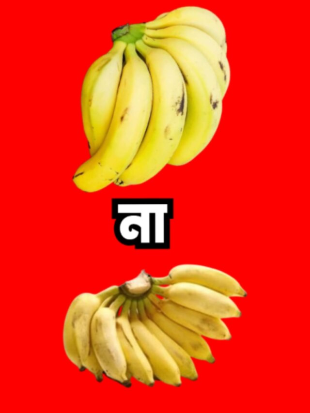 সিঙ্গাপুরি না কাঁঠালি, কোন কলা খেলে বেশি লাভ? ডাক্তারের টিপস