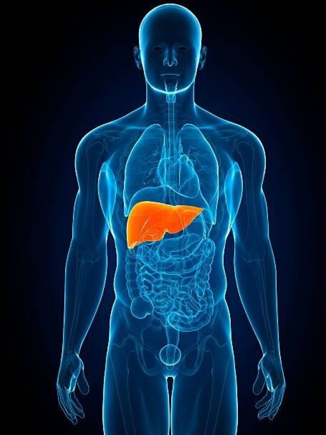 लिवर की गंदगी कुछ ही दिनों में हो जाएगी साफ, बस रोज के खाने में कर लें ये मामूली बदलाव