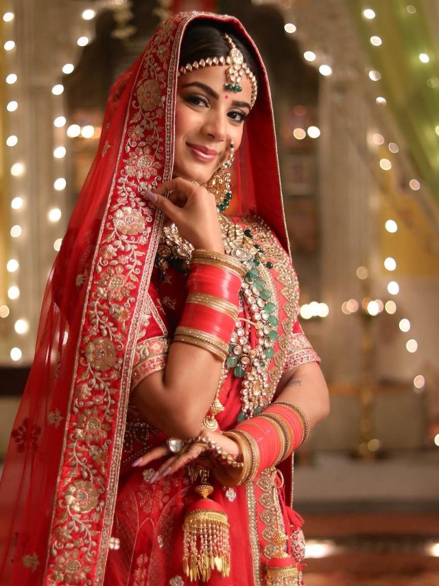 करोड़पति यूट्यूबर संग TV की ये हसीना, रिश्ता कंफर्म! शादी में आएंगे केवल 30 लोग