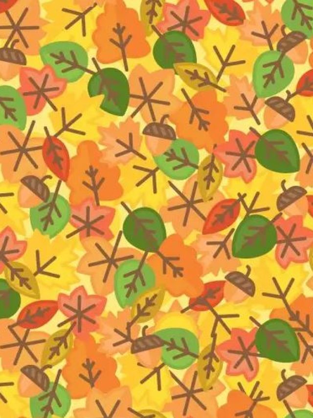 Quiz Image: पत्तों के बीच छिपा है सूरज, क्या आप 10 सेकंड में दे पाएंगे उत्तर