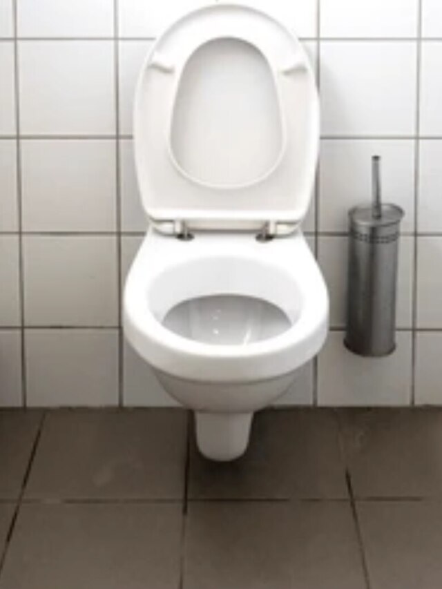 কমোডে এভাবে প্রস্রাব করুন ছেলেরা, বাড়ির মেয়েদের রোগ থেকে বাঁচান