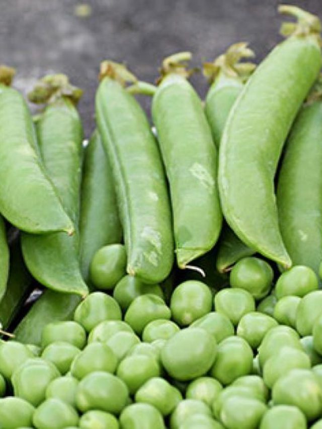 এক কিলো কড়াইশুঁটির খোসা ছাড়ান ৫ মিনিটে, রইল নিনজা হ্যাকস