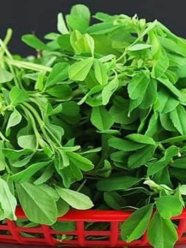 খুবই চেনা এই ৫ শাক, শীতেও শরীর রাখবে গরম