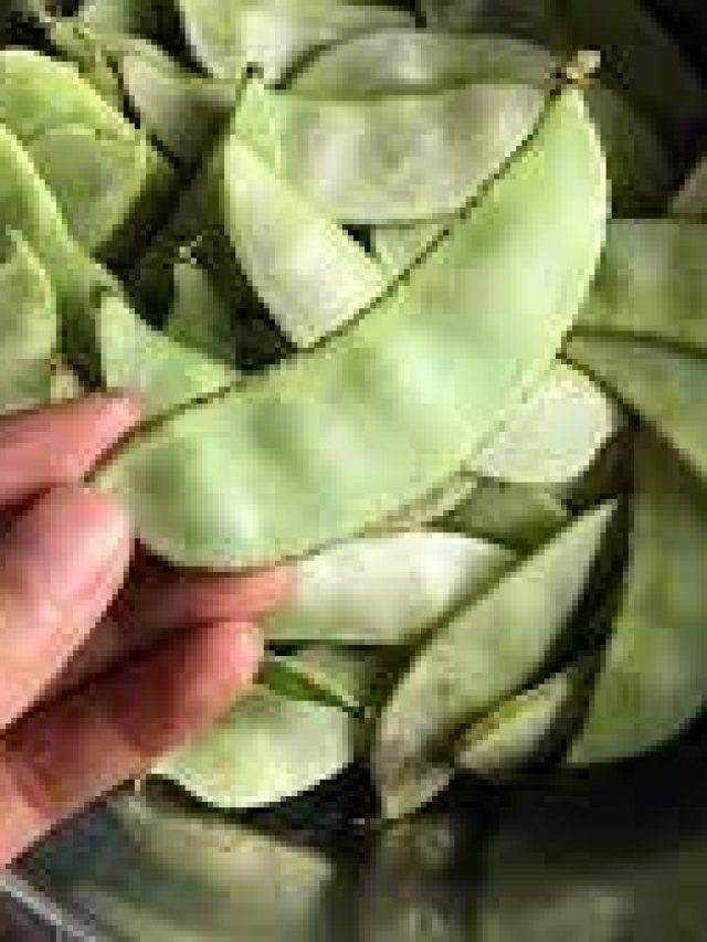 সিমকে ইংরাজিতে কী বলে? বাঙালি শিক্ষিতদের মাথা হেঁট হবে