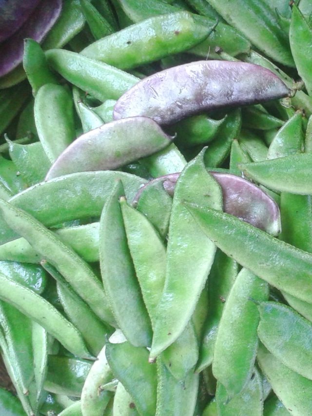 সিম তাজা থাকবে একবছর, বছরভর খাওয়ার নিনজা হ্যাকস শিখুন