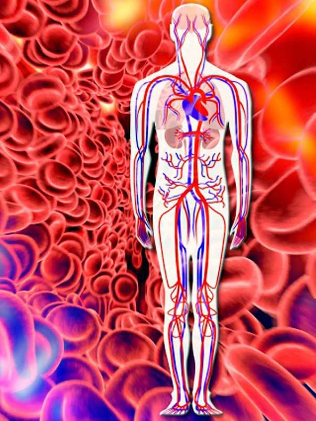 রান্নাঘরের এসব জিনিসেই হু হু করে শরীরে বইবে রক্ত! অ্যানিমিয়া কাছেও ঘেঁষবে না