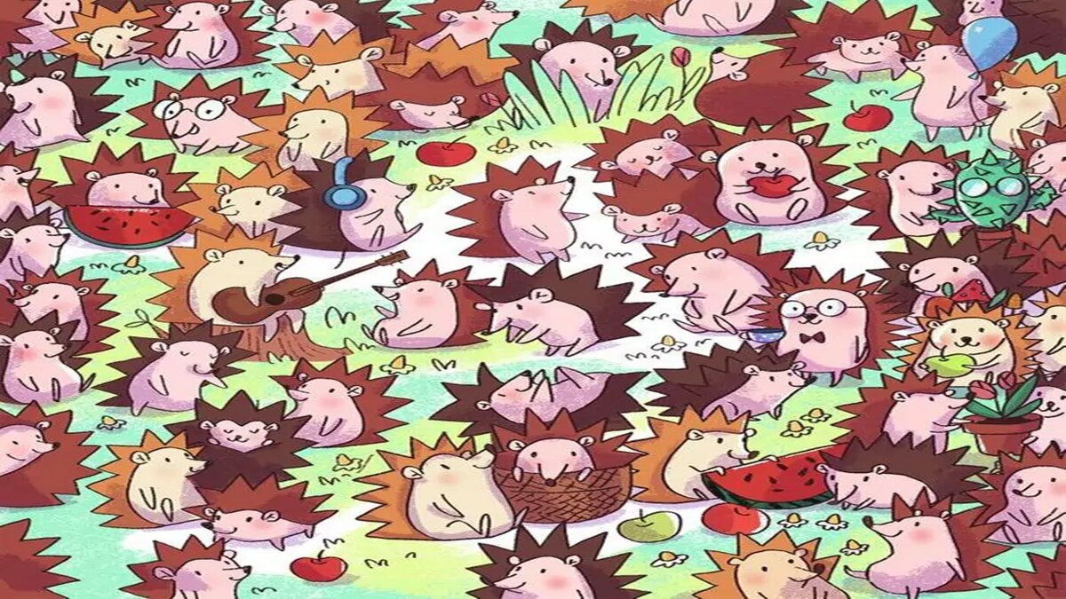 तस्वीर में छिपा है एक कैक्टस का पौधा, क्या 4 सेकंड में ढूंढ पाएंगे आप? करें ट्राई