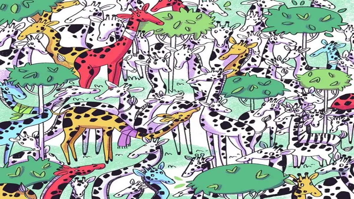 Quiz: तस्वीर में छिपा है एक जेब्रा, 5 सेकंड में खोजने का चैलेंज करें ट्राई