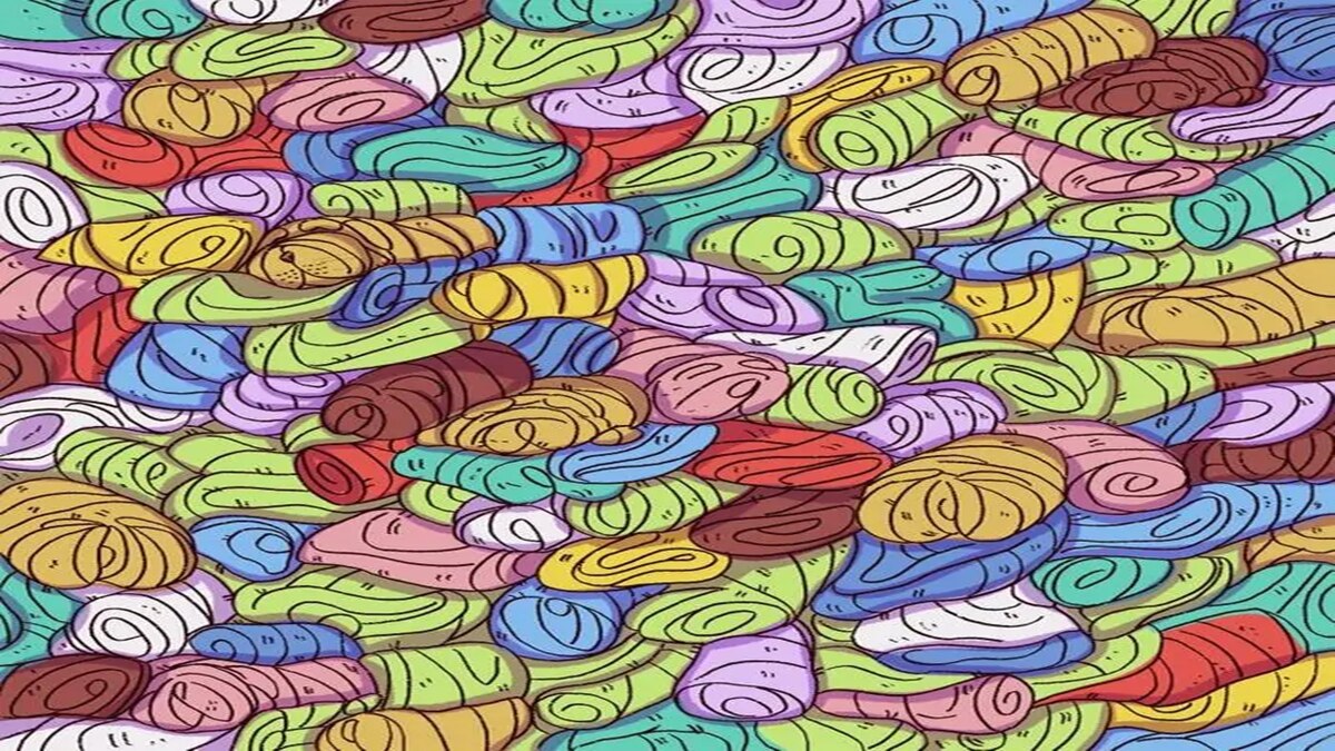 Image Quiz: तस्वीर में छिपा है एक डॉग, 8 सेकंड में खोजकर बनें जीनियस