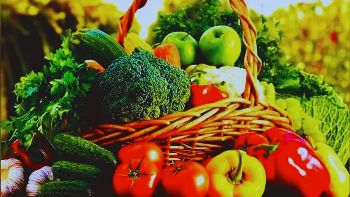 Quiz: फार्मिंग बेड योजना के तहत कौन से पौधे लगाए जा सकते हैं? दीजिए सही जवाब