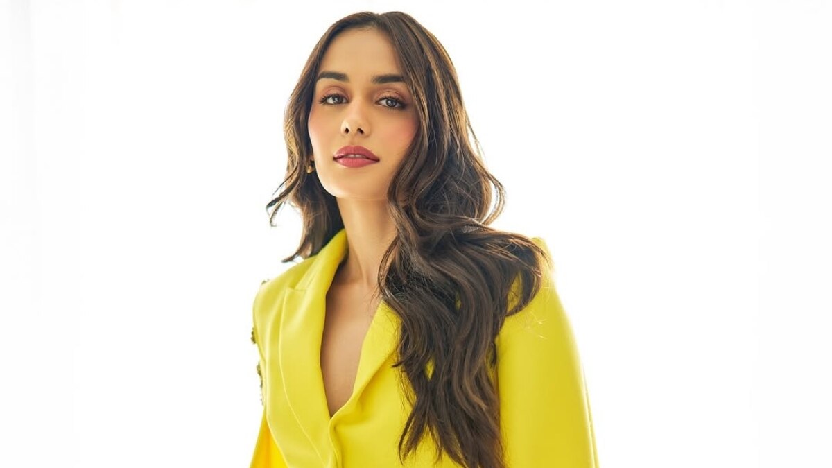 कब करोगी शादी? मानुषी से फैन ने पूछा, बोलीं- नानी आप यहां भी...