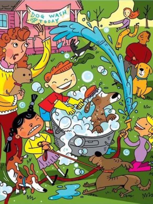 तस्वीर में छिपा है एक टॉर्च, 10 सेकंड में ढूंढने का चैलेंज