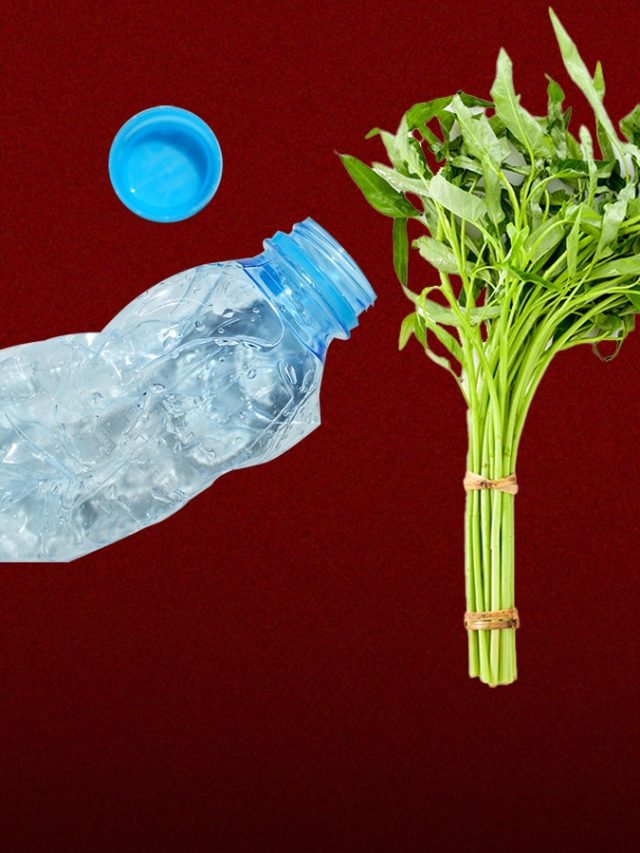 ছুরি-বটি নয়, প্লাস্টিকের বোতলেই কাটুন গুচ্ছ গুচ্ছ শাক