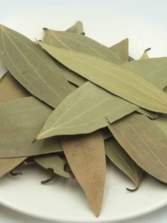 তেজপাতায় এই নম্বর লিখে পকেটে রাখুন, ভাগ্য বদলে যাবে