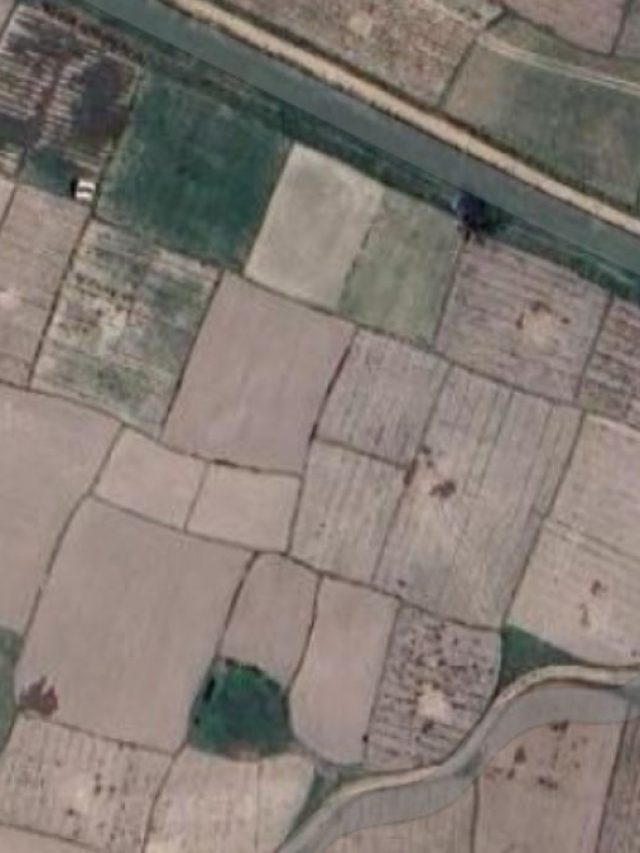 কত কাঠায় ১ বিঘা-কত স্কয়্যার ফুটে ১ কাঠা? অনেকেই জানেন না