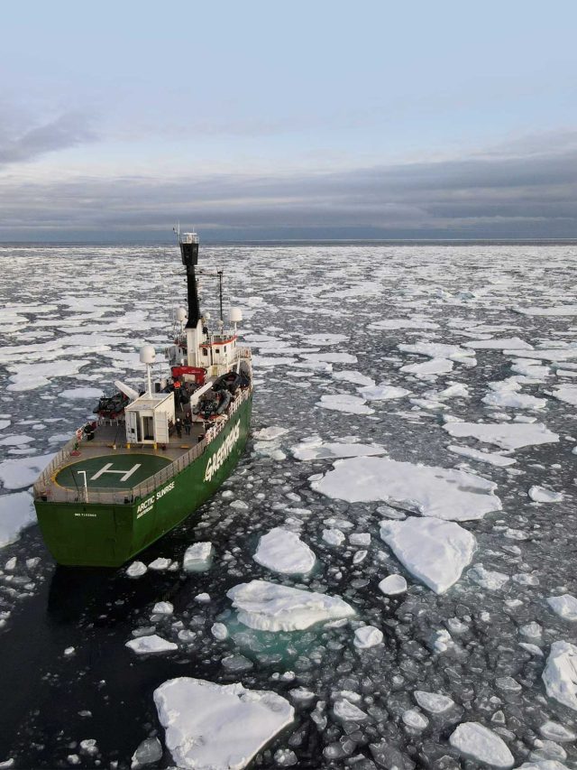 ‘Antarctica is dying’: Scientists just found the ocean eating ice faster than predicted