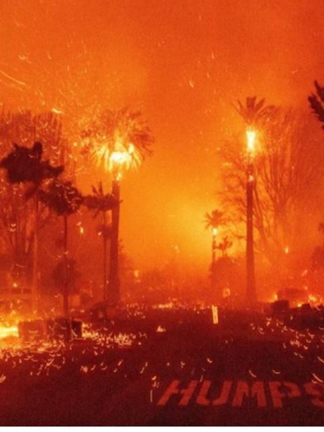 इतनी सर्दी फिर भी, कैलिफोर्निया के जंगलों में कैसे भड़की आग, ये है वजह