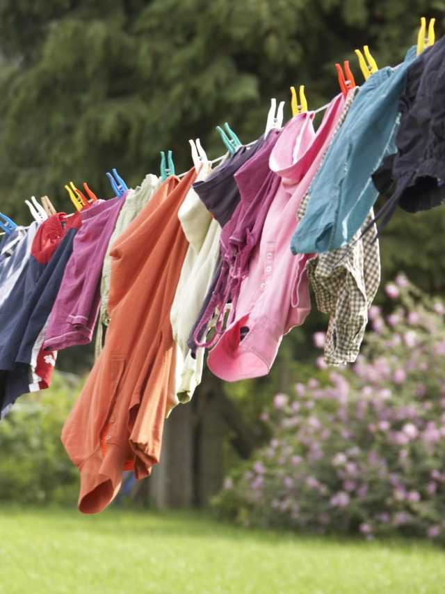 একশোবার ধুলেও জামাকাপড়ের রং উঠবে না, শুধু জলে গুলে দিন এই লিক্যুইড