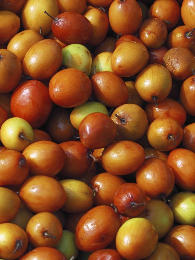 কুলে নুন মাখিয়ে খেলে কী হয়? এই কাজ করার আগে ভাবুন