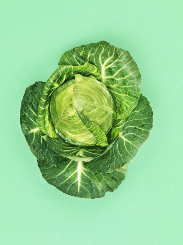 এবার নকল বাঁধাকপিও বিক্রি হচ্ছে, আসল চিনবেন কীভাবে জেনে নিন