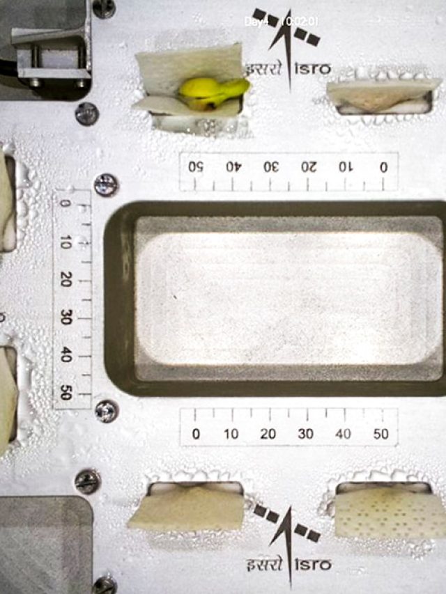 ‘A first for India’: Bharatiya Space Lab grows plants in zero gravity