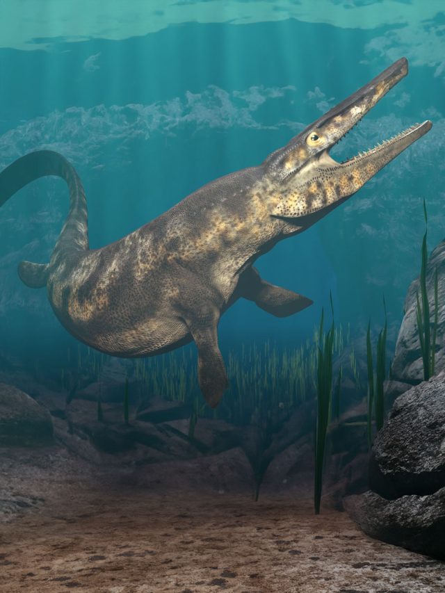 Ancient sea monster or elaborate hoax? Moroccan mine fossil stirs chilling debate