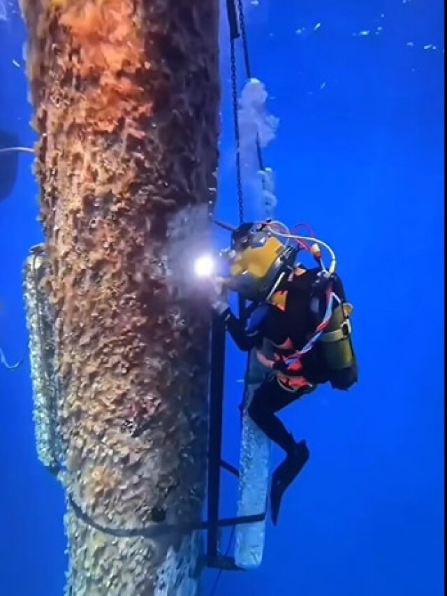 ...ये है दुनिया का सबसे खतरनाक जॉब, यहां काम करने के लिए चाहिए जिगरा