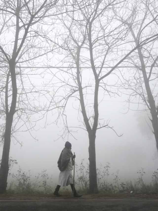 हरिद्वार-प्रयागराज-दिल्ली से महाराष्ट्र तक छाई कोहरे की चादर, देखें