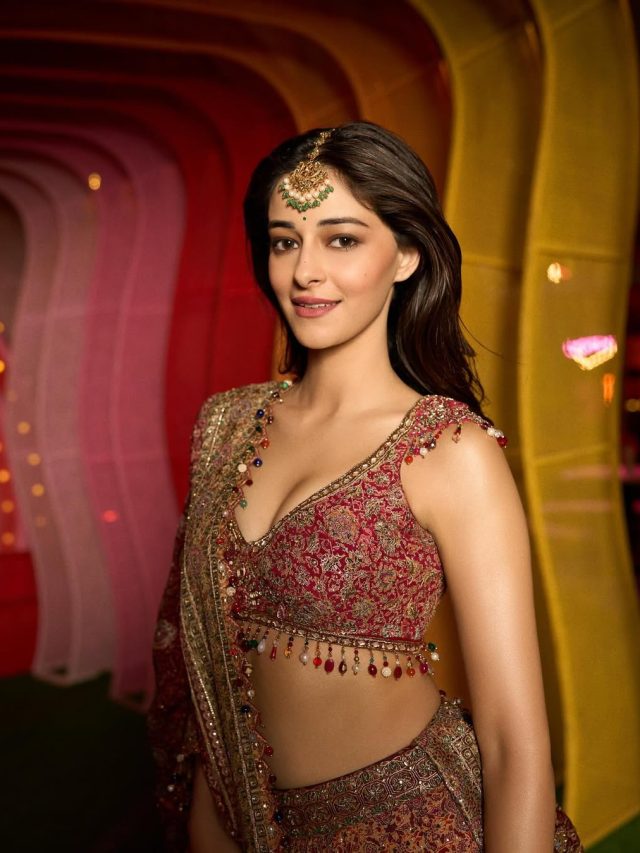 अनन्या का वर्कआउट वीडियो वायरल, छोटी बहन ने लूटी लाइमलाइट, बाकी एक्ट्रेसेज को देखा?