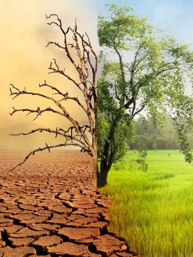 बंजर जमीन पर होगी तगड़ी खेती, अपनाएं ये सरल और देसी तरीका