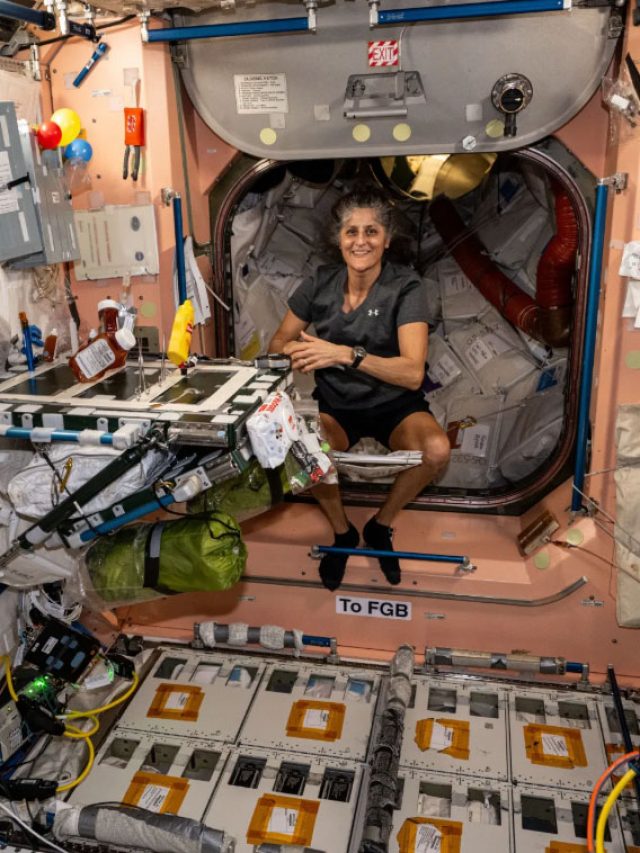 ‘Sunita Williams abandoned in Space’: Elon Musk blames ‘politics’ for astronaut’s ISS delay