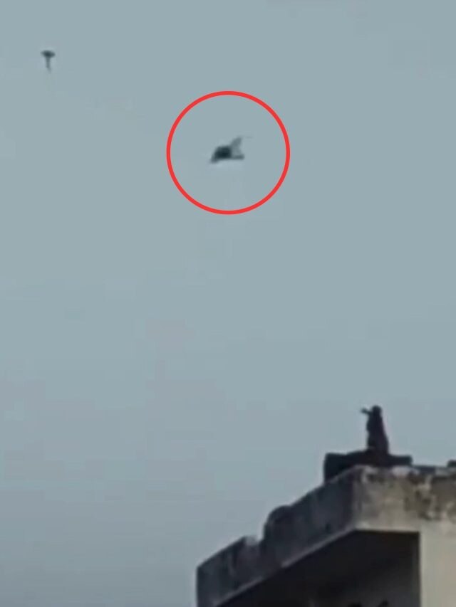 पंतग उड़ा रहे बंदर का वीडियो वायरल, लोग बोले- ये बनारस है गुरु