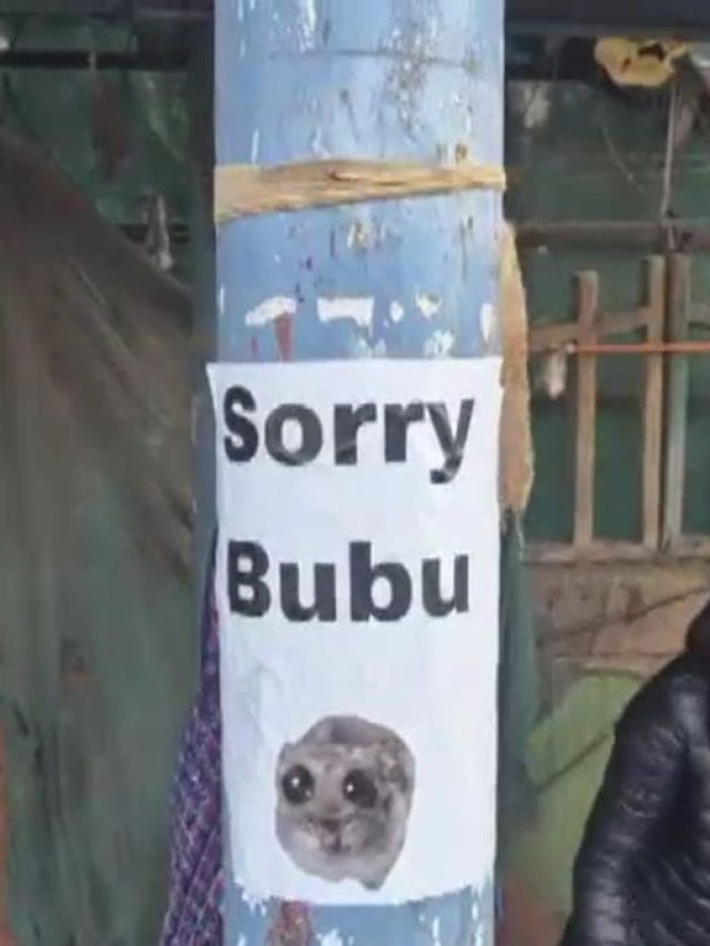 नोएडा से मेरठ तक लगे 'SORRY BUBU' के पोस्टर, क्या है मिस्ट्री?