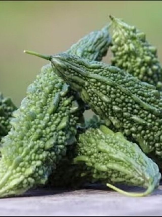 করলা কেন তেতো হয়? বলুন তো দেখি