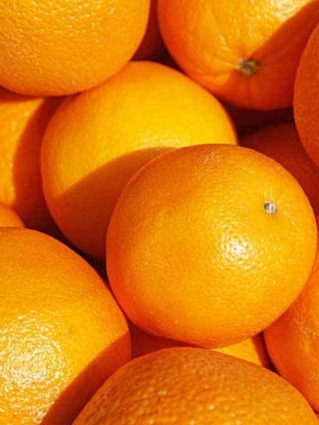 না চিনে খাবেন না, এভাবে চিনুন আসল দার্জিলিংয়ের কমলা