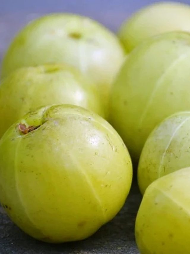 আমলকি খেলে এসব রোগ হবেই, কারা  খাবেন না, জানুন